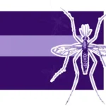 Panamá cierra 2025 con 706 casos acumulados de virus Oropouche y alerta por Malaria