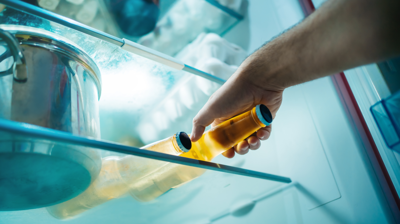 3 trucos para conservar la cerveza en el refrigerador y evitar que pierda sabor